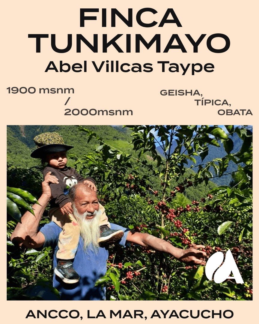 Abel Villcas Taype cosechando café en la Finca Tunkimayo
